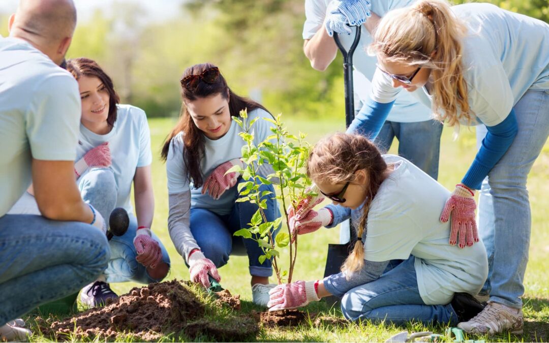 Community Involvement: A Key to Combating Climate Change