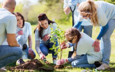Community Involvement: A Key to Combating Climate Change
