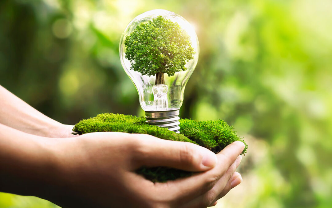 Sustainable Living: How Individuals Can Make a Difference