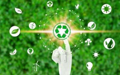 The Role of Technology in Combating Climate Change