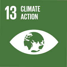 Urgent Action: Combatting Climate Change with SDG 13